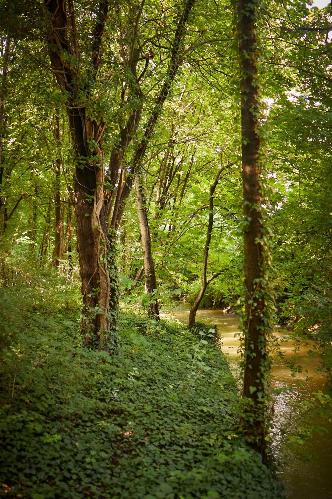 Gaestehaus Englischer Garten 뮌헨 외부 사진